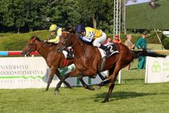 Innovator mit Martin Srnec gewinnt das 18. Slovenske Derby. www.galoppfoto.de