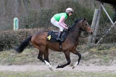 Jarahi beim Aufgalopp, Krefeld 20.03.2016 (Foto: Dr. Jens Fuchs)