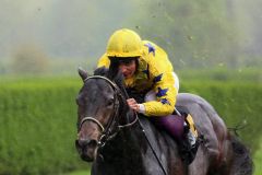 Das sah überzeugend aus: Karpino gewinnt mit Andrea Atzeni auf Gr. III-Parkett in Krefeld. Foto: Dr. Jens Fuchs