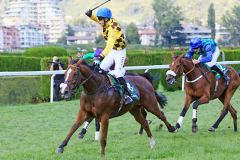 Kazzio mit Cevin Chan beim Sieg im Gran Premio Merano. www.galoppfoto.de - Petr Guth