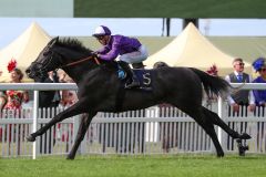 King of Steel bestätigt mit seinem Sieg den zweiten Platz im Epsom Derby. Foto: Racenews/Megan Ridgwell