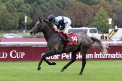 Kingston Hill beim Aufgalopp vor dem Prix de l'Arc de Triomphe. Foto: Dr. Jens Fuchs