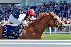 Kyprios gewinnt unter Ryan Moore seinen zweiten Ascot Gold Cup. www.galoppfoto.de