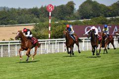 Der große Kyprios gewinnt zum zweiten Mal den Goodwood Cup. Foto: Goodwood Racecourse