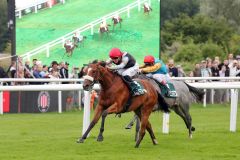 Die Form der Weißmeier-Zweijährigen steht: Lady Sahara gewinnt gegen Akronym. www.galoppfoto.de - Sabine Brose