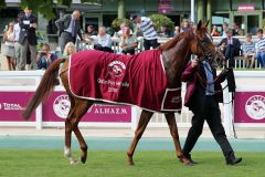 Jetzt auch Gr. I-Sieger: Left Hand (Dubawi) nach dem Sieg im Prix Vermeille. Foto: Dr. Jens Fuchs