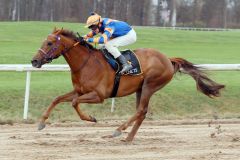 Lion Hunter gewinnt mit Leon Wolff am Silvesterrenntag in Dortmund. ©galoppfoto - Stephanie Gruttmann