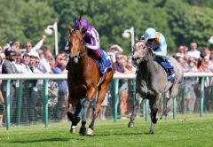 Little Big Bear meldet sich in Haydock erfolgreich zurück. Foto: courtesy by Coolmore