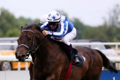 Long Cross gewinnt mit Jozef Bojko im Agl. II am 21.06.2015 in Dortmund. Foto: Dr. Jens Fuchs