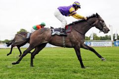 Lord of Leitrim mit Bayarsaikhan Ganbat gewinnt in Hannover. www.galoppfoto.de - Sabine Brose