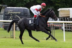 Lovato mit Daniele Porcu beim Aufgalopp in Hannnover. www.galoppfoto.de - Frank Sorge