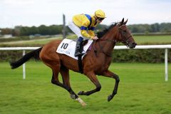 Lutania mit Eddy Hardouin beim Aufgalopp zum Escada Cup. Foto: Dr. Jens Fuchs