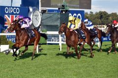 Die großartige Magical holt sich unter Donnacha O'Brien die Champion Stakes. www.galoppfoto.de - JJ Clark