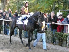 Maguas unter Viktor Schulepov am 23.10.2011 in Düsseldorf (Foto G. Suhr)