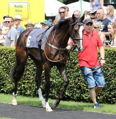 Majama am 9.7.2017 in Köln - Foto: Dr. Jens Fuchs