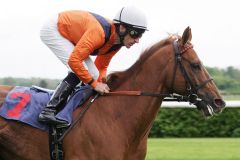 Majestic Power mit Andrasch Starke beim Aufgalopp in Iffezheim. www.galoppfoto.de - Sarah Bauer