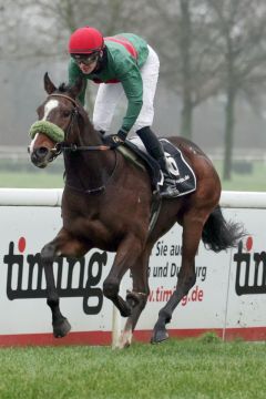 Namaron holt sich das finale Zweijährigen-Rennen der Saison im Handgalopp. www.galoppfoto.de - Stephanie Gruttmann