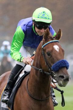 Nanjo mit Adrie de Vries beim Aufgalopp in Baden-Baden am 17.10.2021. ©galoppfoto - Sarah Bauer