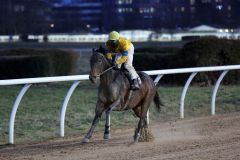 Nuri Bey gewinnt für den Stall KT und Trainer Sascha Smrczek in Neuss. Foto: Dr. Jens Fuchs