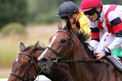 Hat im Präsidentenduell die Nüstern vorn: Nymeria mit Alexander Pietsch für den Stall Grafenberg von "Vize" Albrecht Woeste vor dem "Präsidentenpferd" Auenlee mit Filip Minarik in den Farben des Gestüts Auenquelle. Foto: Dr. Jens Fuchs