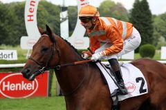 Padron mit Gérald Mossé bei Aufgalopp zum Fritz Henkel Stiftung-Rennen 2021. ©Dr. Jens Fuchs