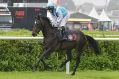 Pandora mit Tommaso Scardino beim Aufgalopp in Hamburg. ©galoppfoto - Frank Sorge