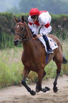 Pariala mit Andreas Goeritz beim Aufgalopp. www.galoppfoto.de