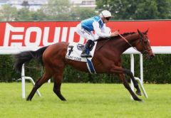 Pensee du Jour ist im Prix Corrida eine überzeugende Siegerin. Foto: courtesy by Coolmore