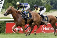 Peshmerga mit Michael Cadeddu gewinnt den RaceBets.de Diana Trial. ©galoppfoto - Stephanie Gruttmann