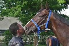 Eddie und Potemkin in Belmont Park