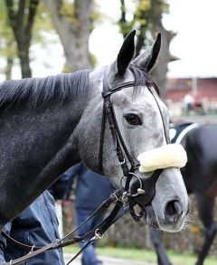 Princess Zoe am 1.11.2018 in München - Foto: Dr. Jens Fuchs