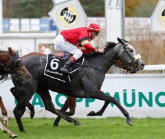 Princess Zoe gewinnt am 1.11.2018 in München - Foto: Dr. Jens Fuchs