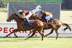 Prominenter Sieg mit internationaler Note durch Warring States unter Eduardo Pedroza in den Farben von Qatar Racing. www.galoppfoto.de - Sabine Brose