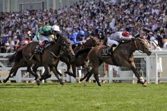 Qemah bleibt in Royal Ascot ungeschlagen. www.galoppfoto.de