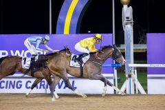 Queen Azteca siegt für Norwegen in den UAE Oaks. Foto: DRC