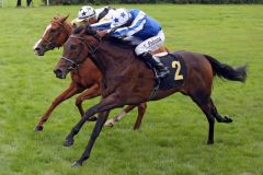 Queens Beauty in Hoppegarten  galoppfoto.de