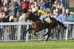 Ramazotti behält seine weiße Weste und siegt mit Eduardo Pedroza im Ferdinand-Leisten Memorial für Andreas Wöhler und Gestüt Fährhof - www.galoppfoto.de