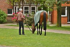 Nachschau Frauenfeld und Hoppegarten 12. Juni 2016