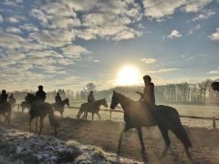 Nachschau Dortmund 03. Februar 2019