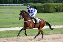 Royal Shaheen mit Jose Luis Silverio am 16.05.2016 in Köln (Foto: Dr. Jens Fuchs)