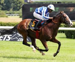 Royal Youmzain gewinnt den Ittlingen-Derby Trial am 3.6.2018 in Baden Baden - Foto: Dr. Jens Fuchs