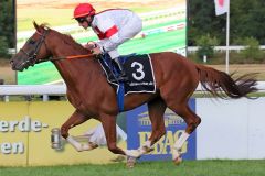 Sagrado mit Andrasch Starke beim Aufgalopp in Köln 2018. www.galoppfoto.de - Sandra Scherning