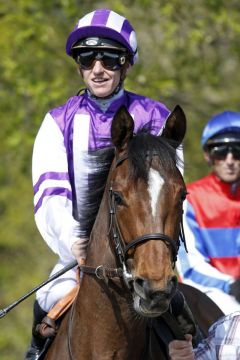 Salve Stella mit Filip Minarik in Hoppegarten 2018. www.galoppfoto.de - Sabine Brose