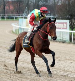 Samarghand am 29.12.2019 in Dortmund- Foto: Dr- Jens Fuchs