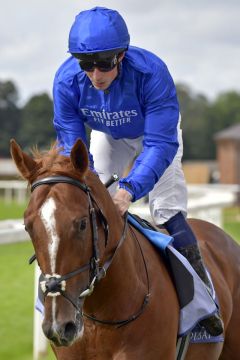 Shadow Of Light unter William Buick. www.galoppfoto.de - JJ Clark