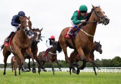 Shamida punktet für den Aga Khan und Trainer Dermot Weld. Foto: courtesy by Coolmore