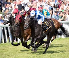 Shy Angel gewinnt  den Berenberg-Cup am 3.9.2017 in Baden-Baden - Foto: Dr. Jens Fuchs