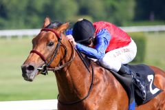 Überlegener Sieger im 79. Gerling-Preis: Der Soldier Hollow-Sohn Ivanhowe mit Adrie de Vries. www.koeln-galopp.de - www.klatuso.com/Tuchel