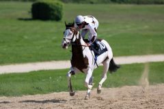 Silvery Moon mit Andrasch Starke am 10.05.2015 beim Aufgalopp in Köln. Foto: Dr. Jens Fuchs