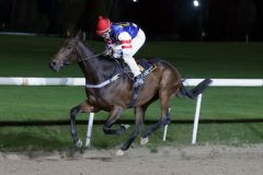 Smudo gewinnt beim Dortmund-Debüt im Handgalopp. www.galoppfoto.de - Stephanie Gruttmann